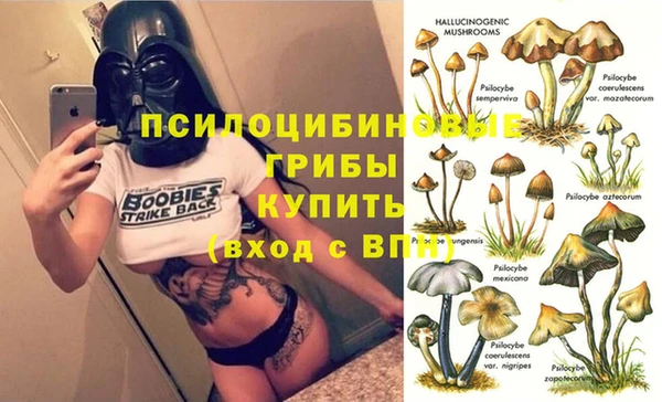 apvp Алексеевка