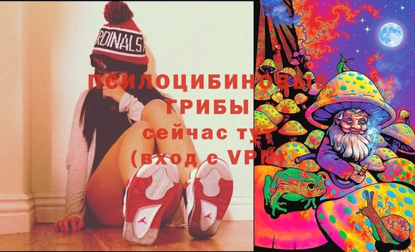 бутират Алексин